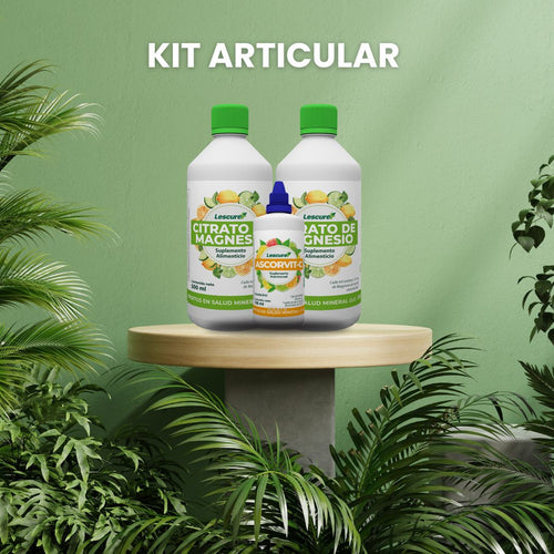 KIT ARTICULAR